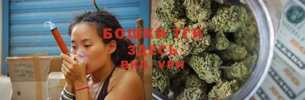 PSILOCYBIN Балахна