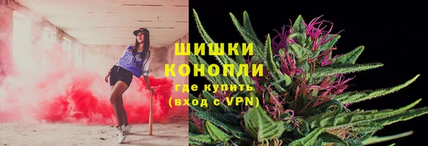 PSILOCYBIN Балахна