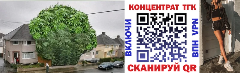 Дистиллят ТГК Wax  Маркс 
